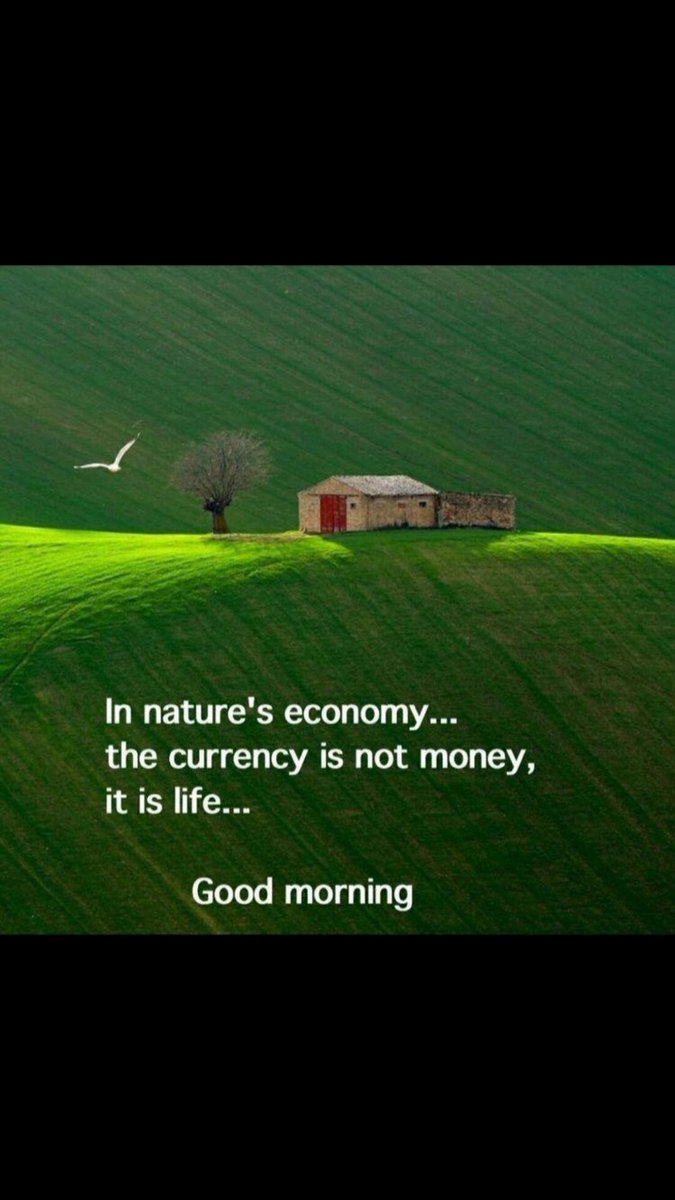 hadia5551's tweet image. 