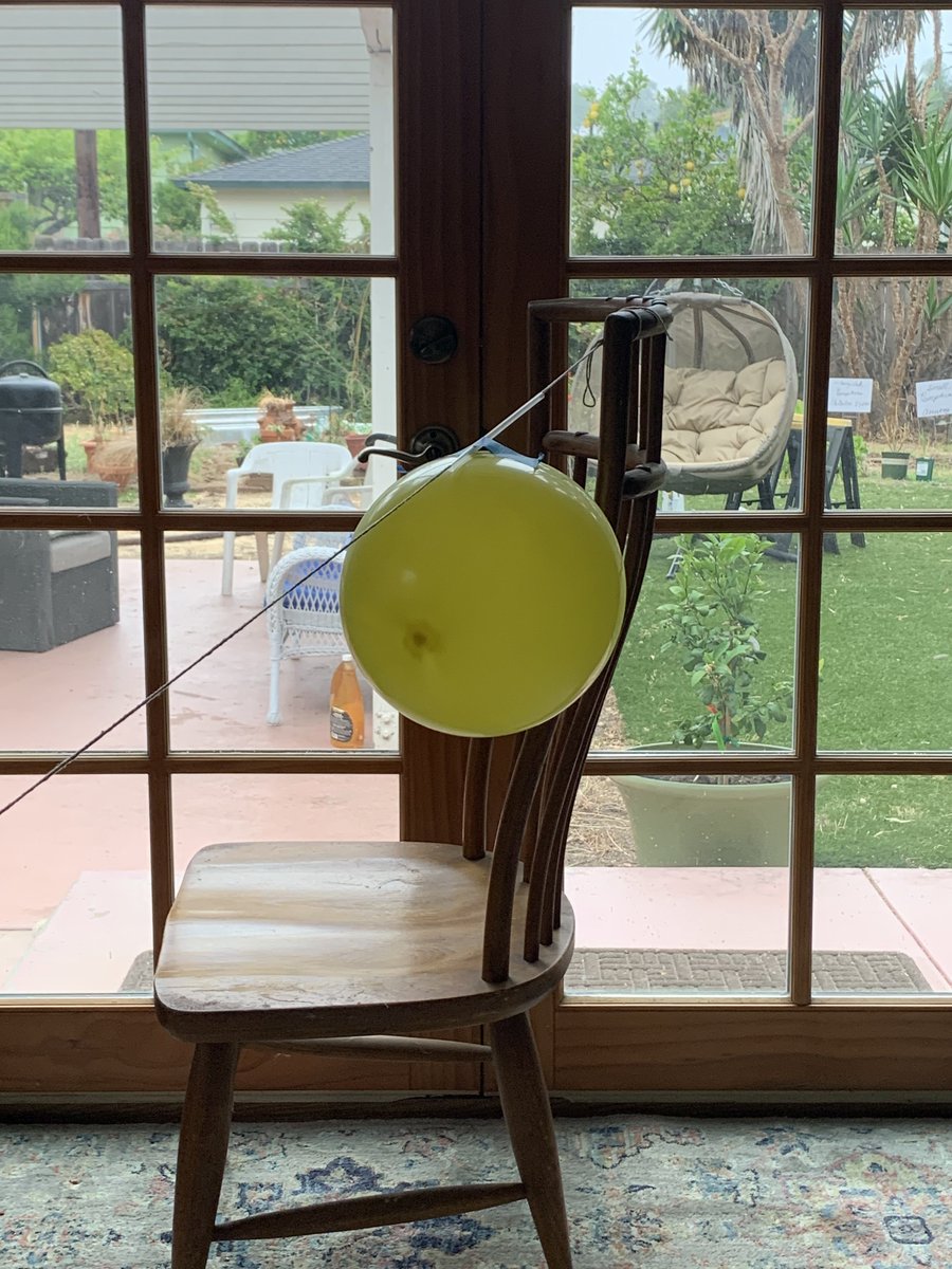 sbsdCCSTREAM's tweet image. Another fabulous Young Scientists Club this morning led by #parentvolunteer Lena Koslover. Science can still be fun from a distance. #ccsbsd #ccstream #sbsdedu #sbsdstream @UCSDPhySci