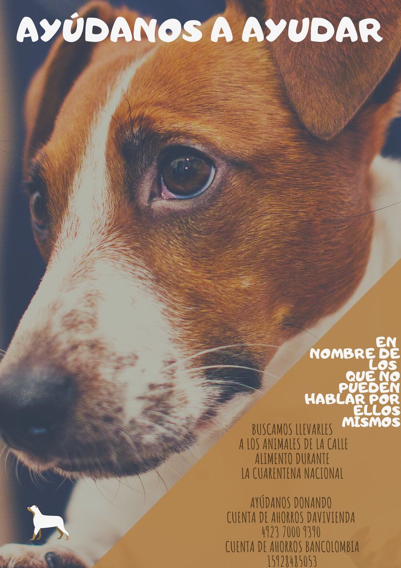 ayudandoayudar1's tweet photo. #EstoyConDanielDuque

AYÚDANOS A AYUDAR CON TU DONACIÓN! https://t.co/xCTKg4pJUB