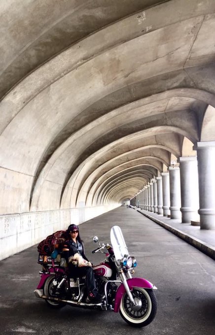 Noriのtwitterイラスト検索結果 古い順