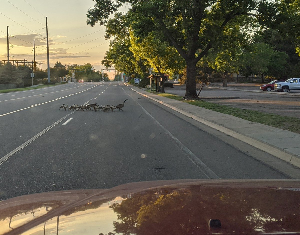 1001Is's tweet image. EMS SUPERVISOR: WHY WHERE YOU LATE TO WORK?
EMT: I WAS STUCK IN TRAFFIC

TRAFFIC...