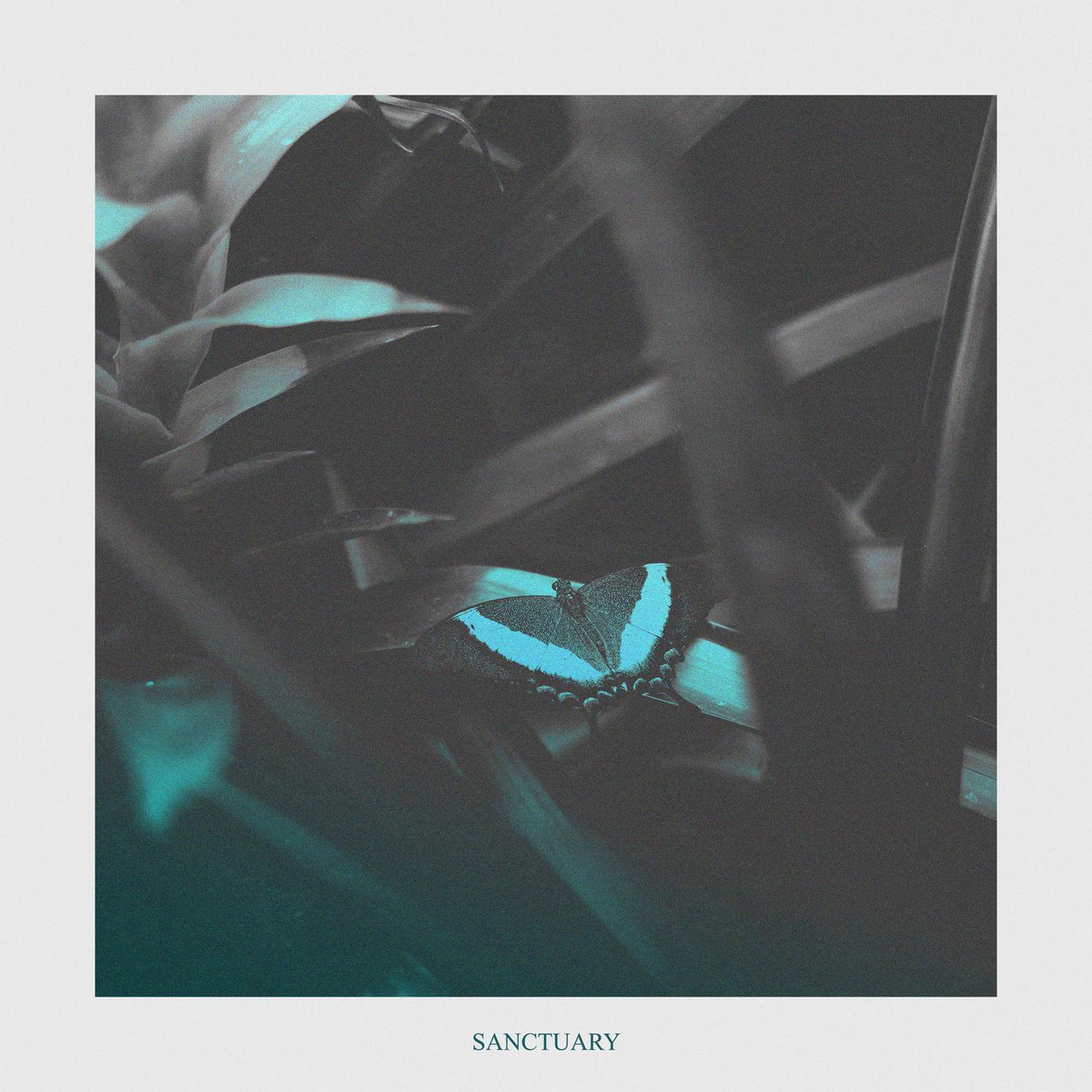 "Sanctuary" is out tomorrow! If you want to help me out a bit in the spotify algorithm - you can pre-save the track here: smarturl.it/ecepta-sanctua…