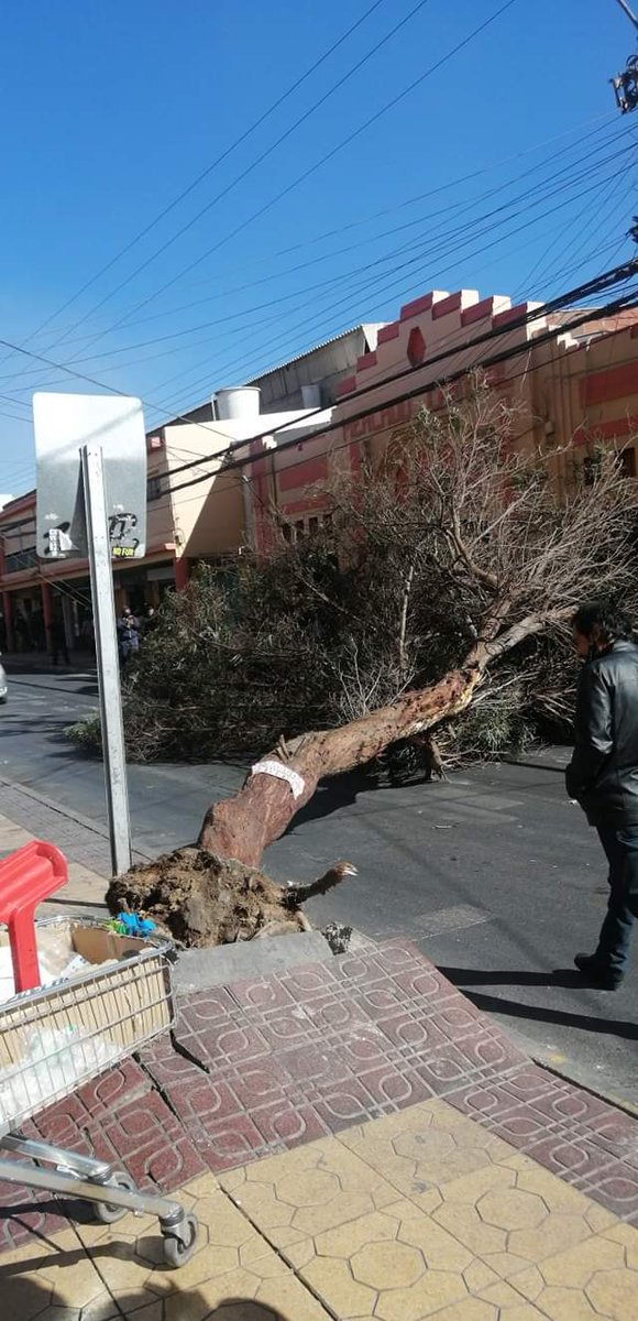 RNE Calama tweet media