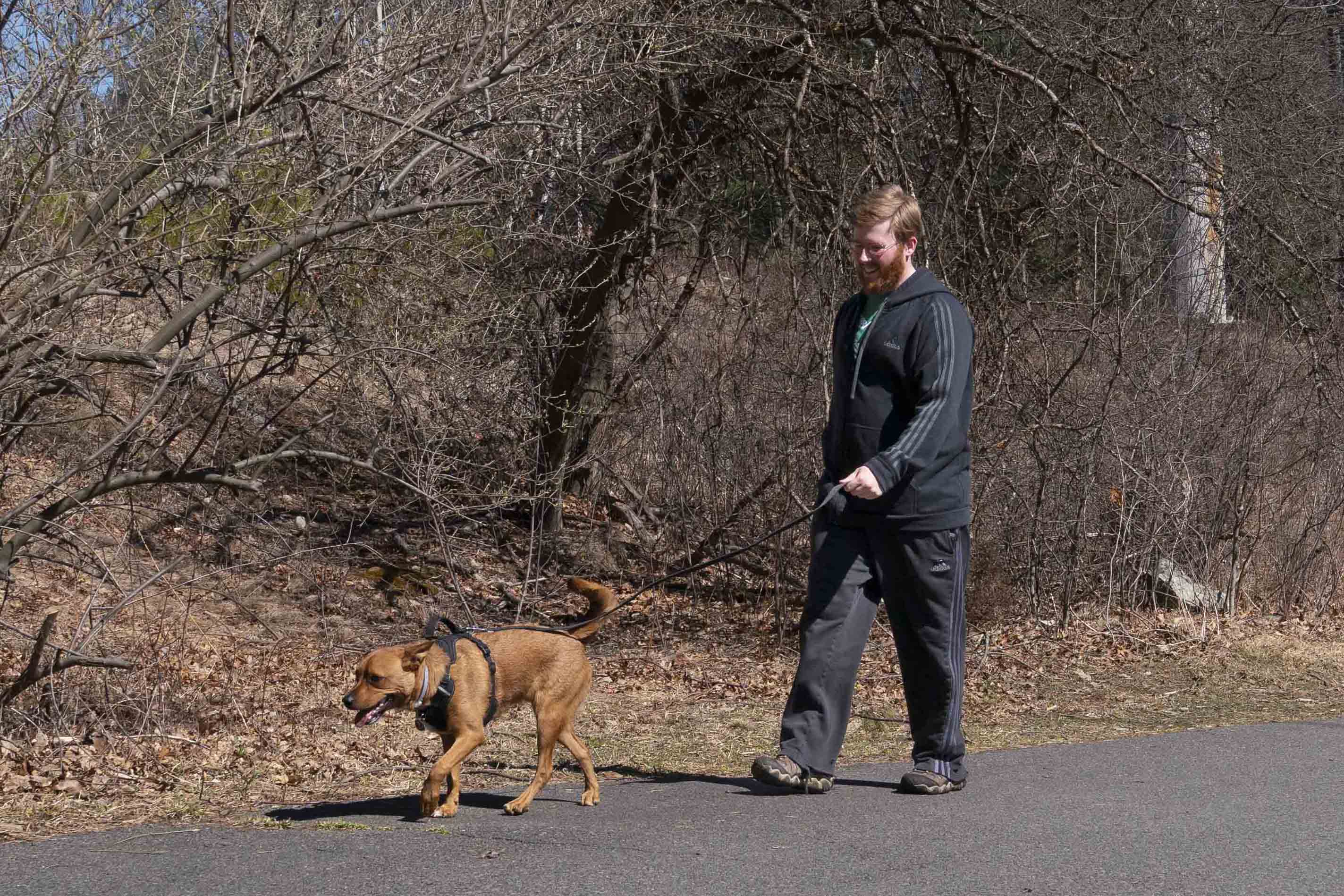 Are Dogs Allowed At The Quabbin Reservoir