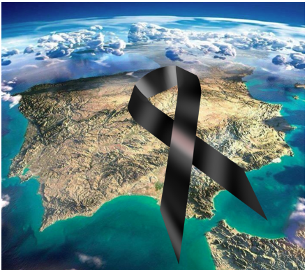 roque tweet media