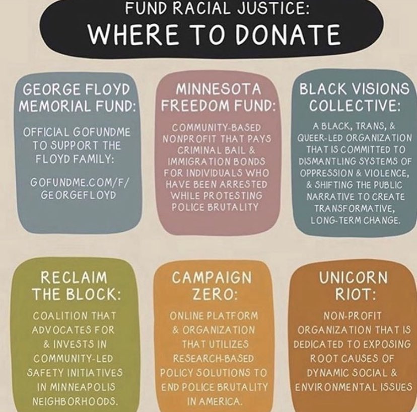 If you don’t know where to donate consider some of these amazing organizations and fundraisers! 

#BlackLivesMatter