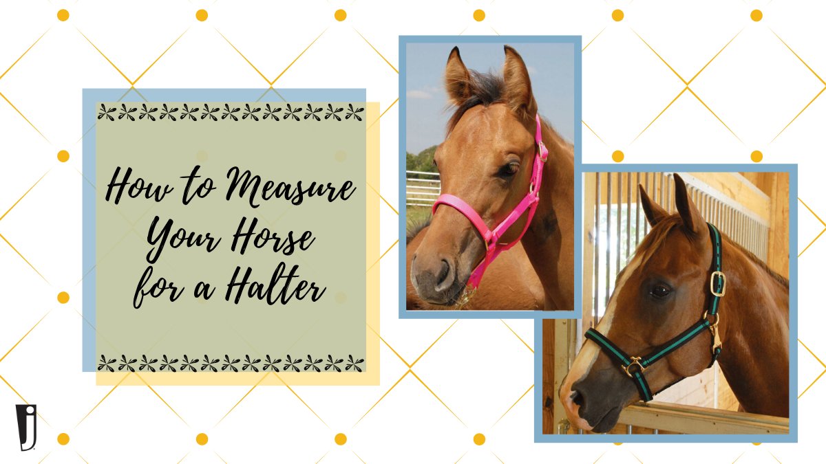 flukers deluxe clamp lamp assembly