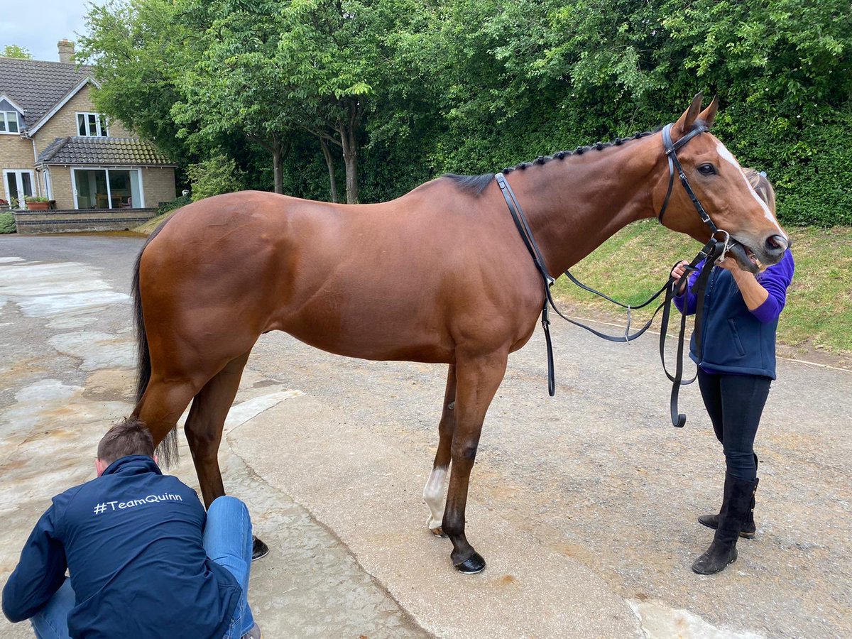 mickquinn1089's tweet image. Looking fantastic for his first run of the Season,our horse Colonel Frank finished a promising 4th of 12 at @NewmarketRace 
@kennybpb 
#TeamQuinn