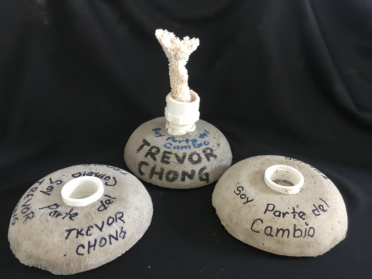 Oceanus, A.C. tweet media