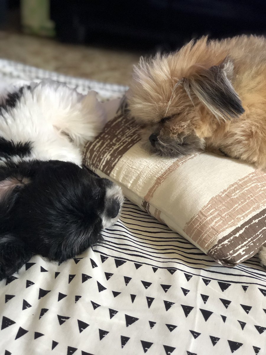 iimlost's tweet photo. 😴😴😴 #mood https://t.co/9NnNxQsQlq