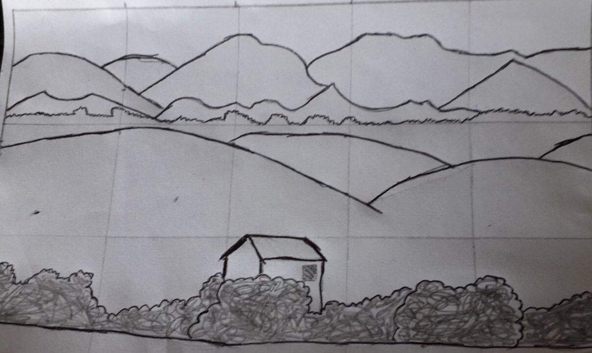 Year 8 landscape drawings using the grid method. Coming along great! #Art #Landscapes #Biro #Drawings #Grids