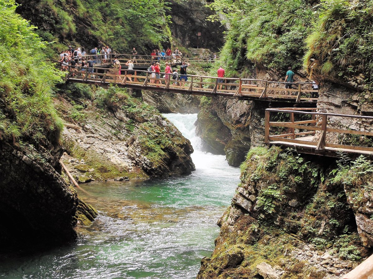 Een #eiland in een meer, een #kasteel op steile rots , #hiken, #roeien, het zijn slechts 4 van de talrijke #bezienswaardigheden &amp; #activiteiten op het Meer van #Bled, => infoslovenia.be/n/meervanbled . #slovenie #ifeelslovenia #lakes #kloof #slovenia #kerk