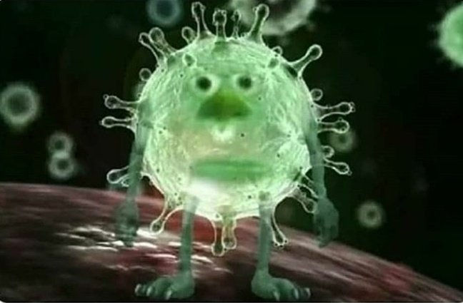menosestado1's tweet photo. Coronavirus ao saber que teremos  novidades do caso Mariele
#Anomymousbrasil 
#ExposedAmericana 
#prazervagabunda 
#PeppaCaiu https://t.co/hlXV91vsrK