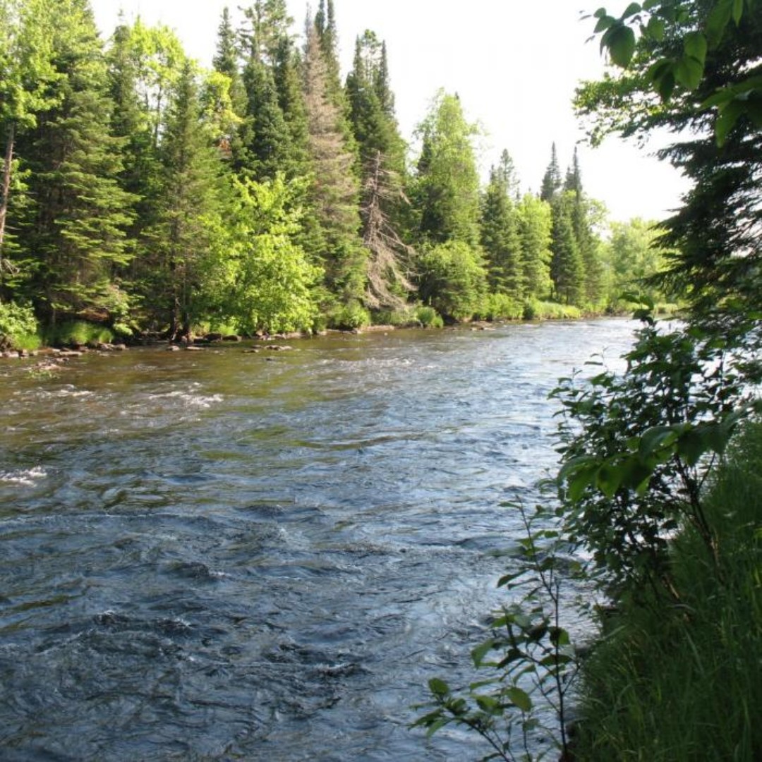 Forest_Society's tweet photo. Saturday is Free #Fishing Day in #NH ๐ You can search our Forest Reservation Guide to find natural spaces with waters that are fishing-friendly (this is Washburn Forest in Clarksville, popular with anglers): https://t.co/W3yX91tGd8. #springinNH #recreateresponsibly #nhoutdoors https://t.co/5ScUTT9ryf