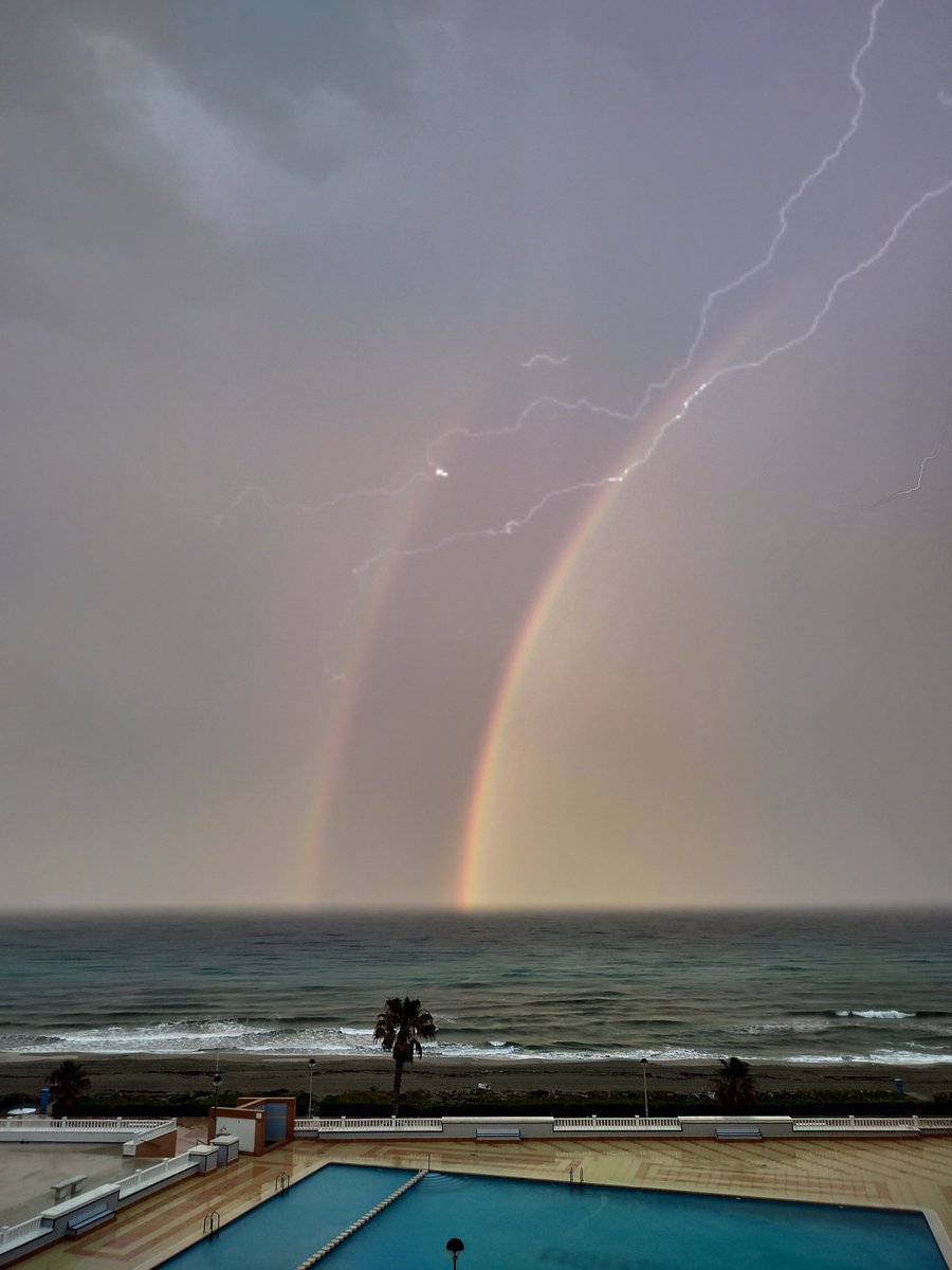 elenagomarizz's tweet image. Hoy he pillado algo tan improbable que merecía ser compartido