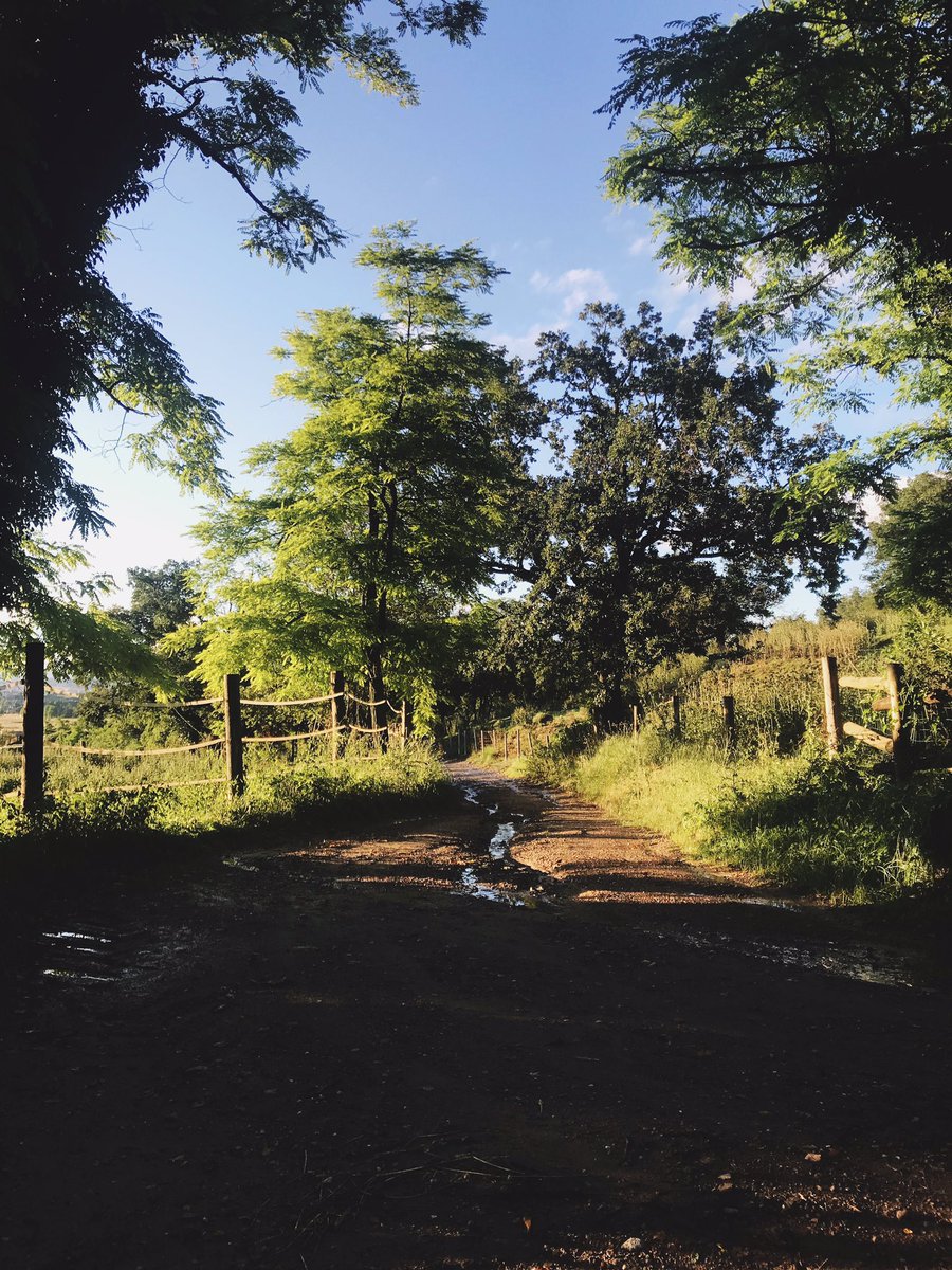 annadefez's tweet image. Després d’una tempesta tot brilla més #naturealwayswin