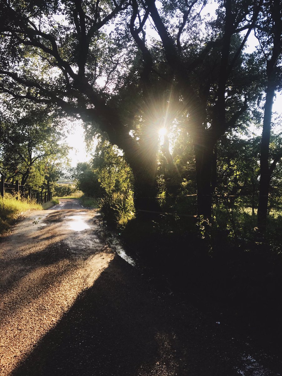 annadefez's tweet image. Després d’una tempesta tot brilla més #naturealwayswin