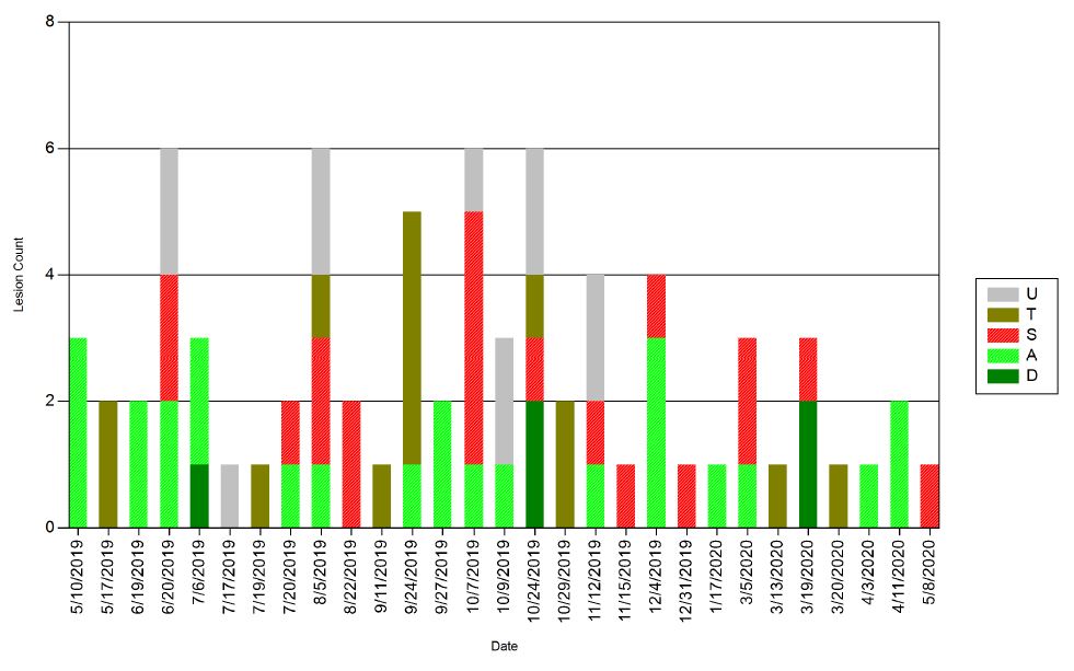 SaveCowsNetwork's tweet image. Data is king?  SIMPLE data is king.  We focus on the four main hoof lesions consistently observed on dairies around the world. This results in clear, concise data that aids in making effective management decisions.  #ZeroLamenessTolerance #SaveCowsNetwork
