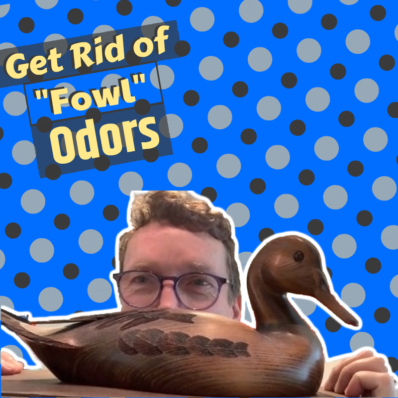 StudioFour8's tweet photo. Get rid of "fowl" odors in your home. https://t.co/GEBrUZaxIs #annarborrealestate #annarbor #a2homes #realestate #bhhsrealestate @jp_realestate https://t.co/CPBGbMi44c