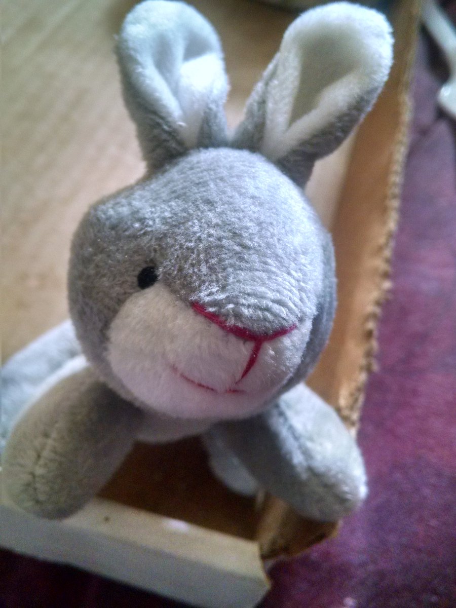 hypnolove's tweet photo. I confess I have a thing for bunnies. https://t.co/Uhtw3nhzhA