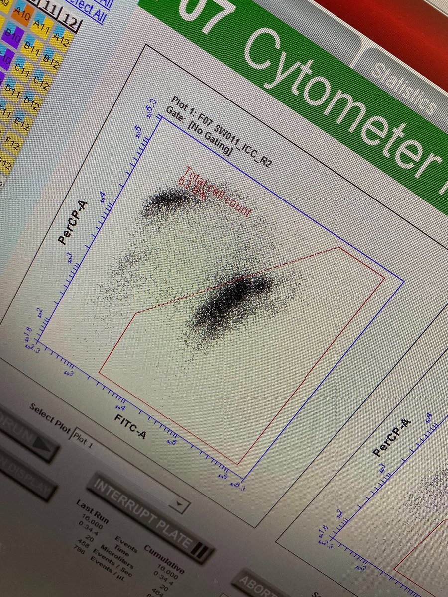 Boston Tap tweet media