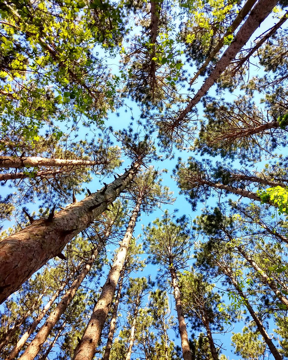 DroiMedia's tweet photo. In our free time @JordanGoebig and I like to go #hiking. What are some ways you like to de-stress outside of #videoediting / #videoproduction / #freelancing? https://t.co/DhMACKoY2A