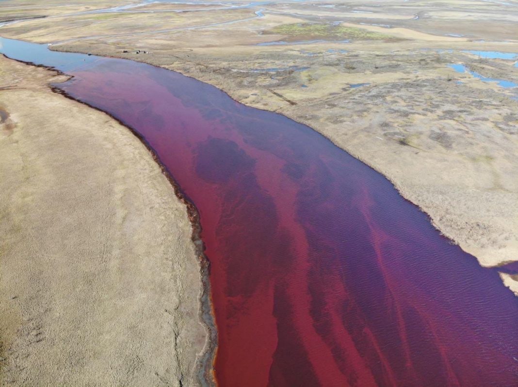 Putin has plundered all of Russia. The biggest environmental disaster of the 21st century! 22 thousand tons of oil products fell into the Siberian rivers. Hundreds of kilometers are polluted.