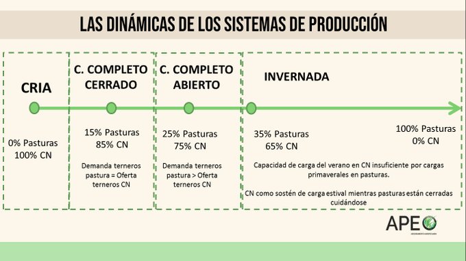 Image in tweet by APEO