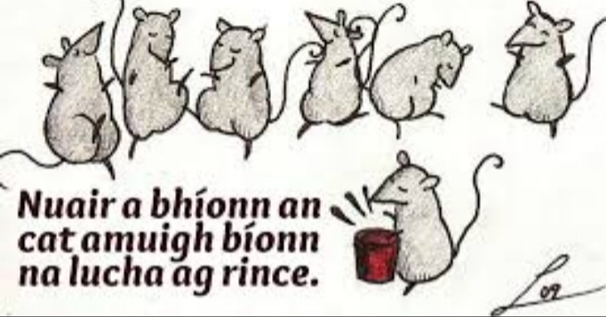 OgrasOgras's tweet photo. Nuair a bhíonn an cat amuigh bíonn na lucha ag rince (When the cat is out the mice dance). #Ogras #AnGhaeilge #AnOige https://t.co/Y2ZitHXyl2