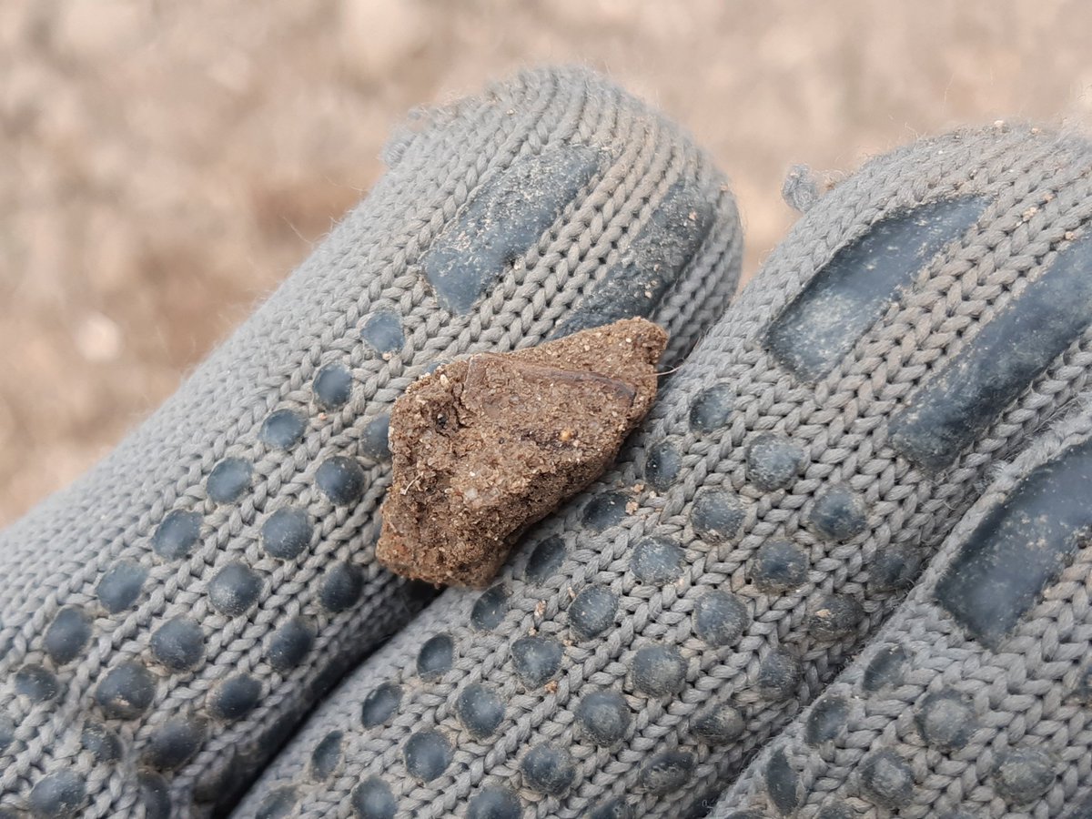 Henry III London mint cut quarter from a quick session this evening. Other than this nothing else to report!