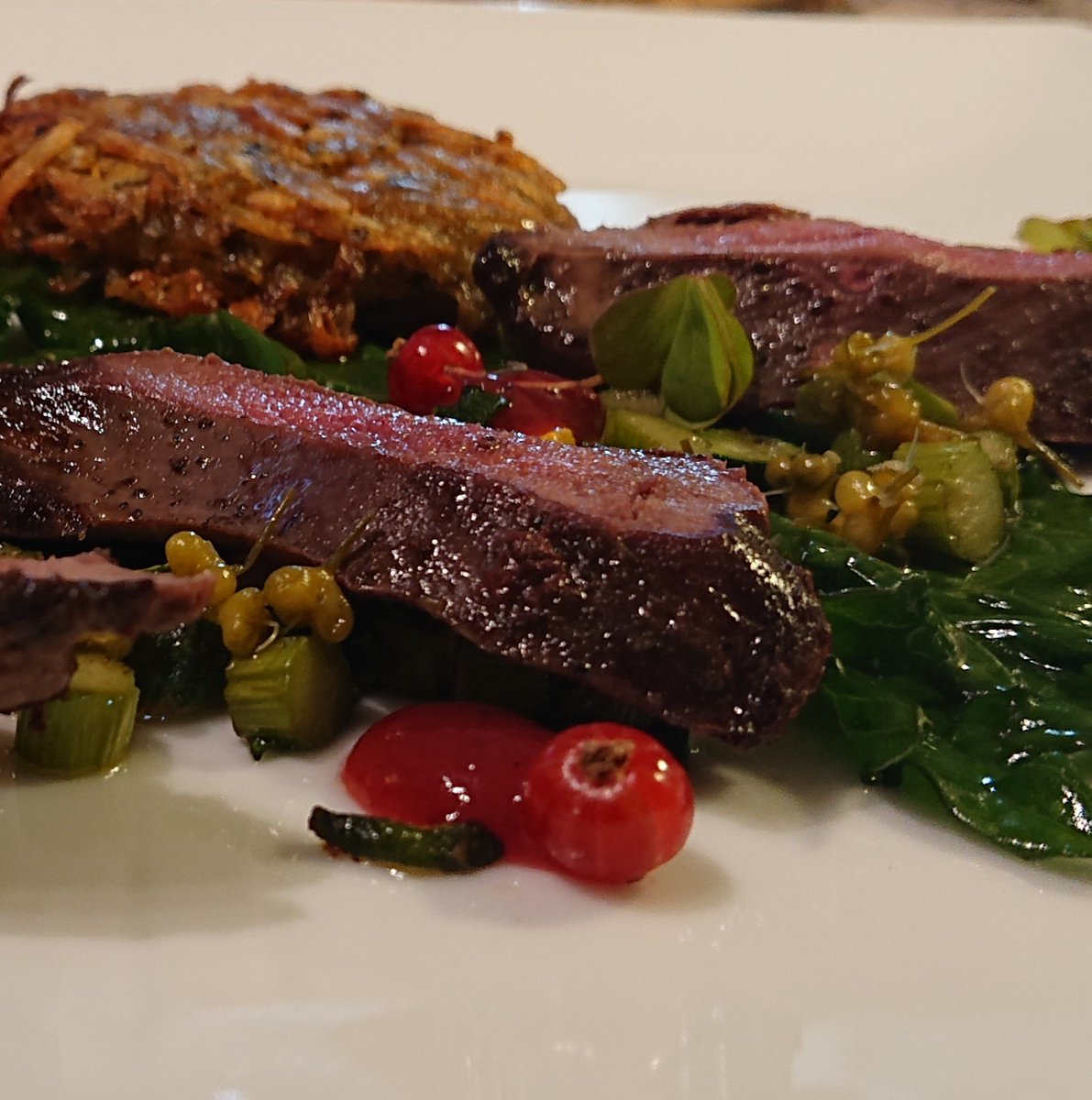 BeeryBen's tweet photo. Pretty good dinner tonight courtesy of @RedChefBecky. Pigeon, Jersey Royal rosti, #allotment redcurrants, baby yellow &amp; green courgettes, raspberry &amp; tarragon gel, pickled wild garlic capers and wood sorrel.
#nofilter https://t.co/XUEe2Rrln4