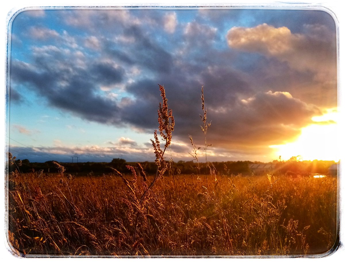 StephanieOLough's tweet photo. The light this evening is just stunning. #somefilters https://t.co/S1ZmSzDLGp