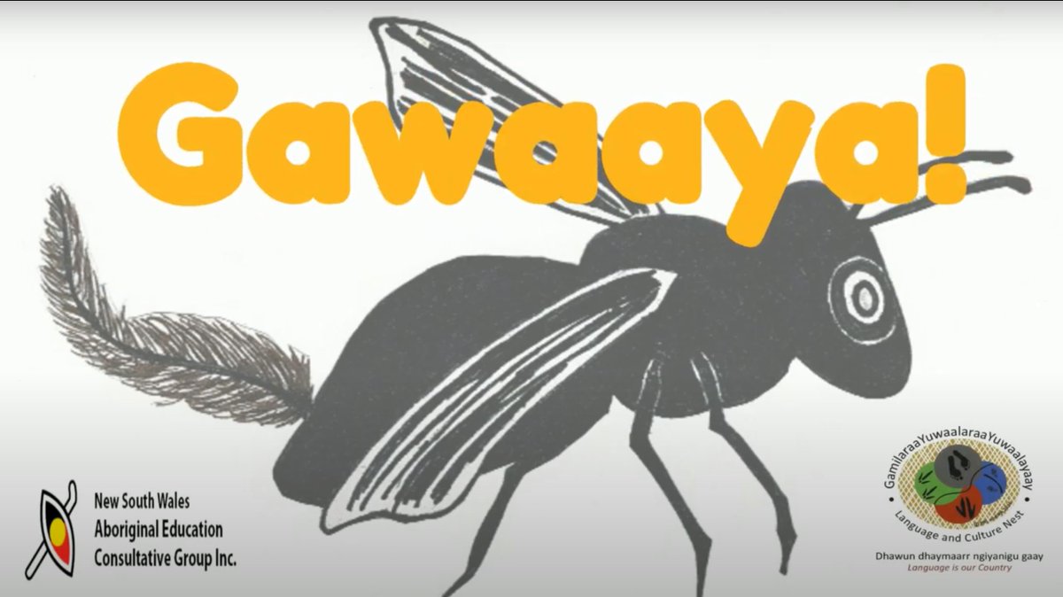 📣🔈Our Gamilaraay Language Educators have made a great little song about the native bee, have a listen! 🐝🍯🎶

youtu.be/YUWkTJoIPLQ

#nswaecg #gamilaraay #Aboriginallanguages