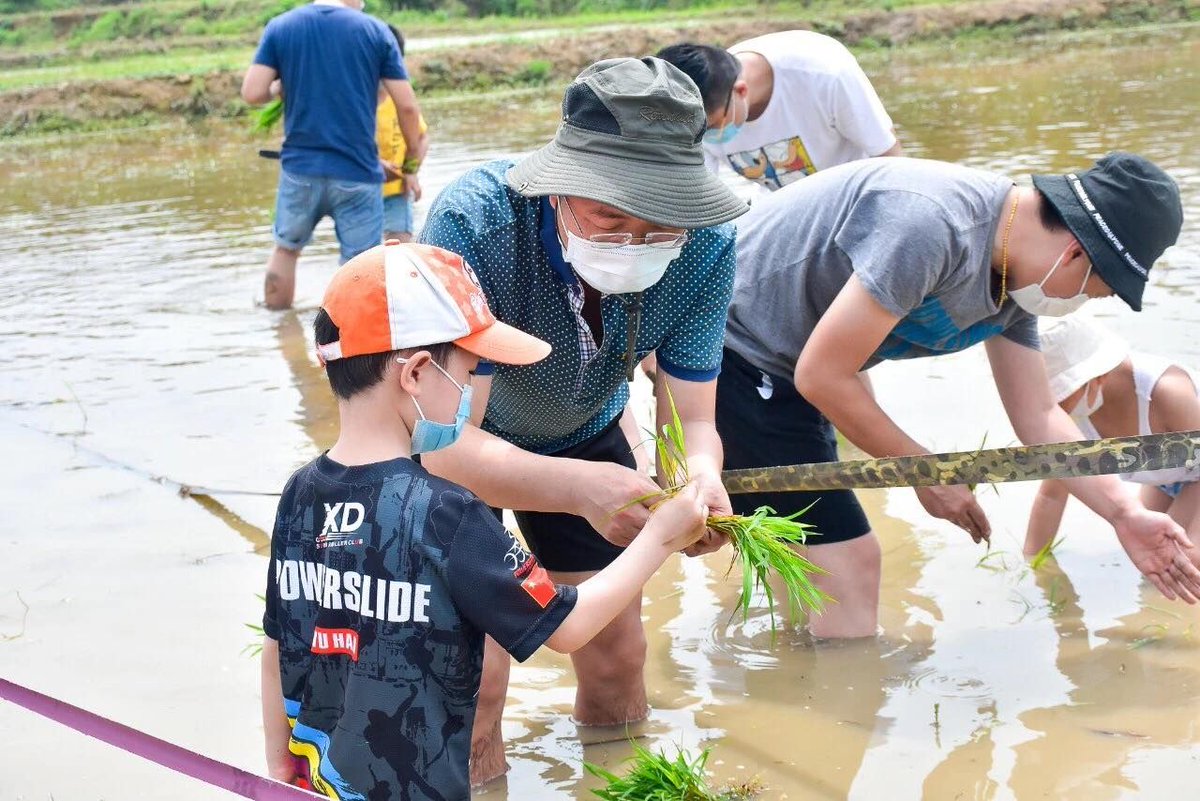 visit_wuhan's tweet photo. Today is the Grain in Ear 芒种 of the 24 solar terms, which marks the start of summer planting. Many families come to the #Wuhan Crape Myrtle Garden to experience the sweat and joyful of transplanting. #WHVirtualTour https://t.co/7gwTrBzRpm