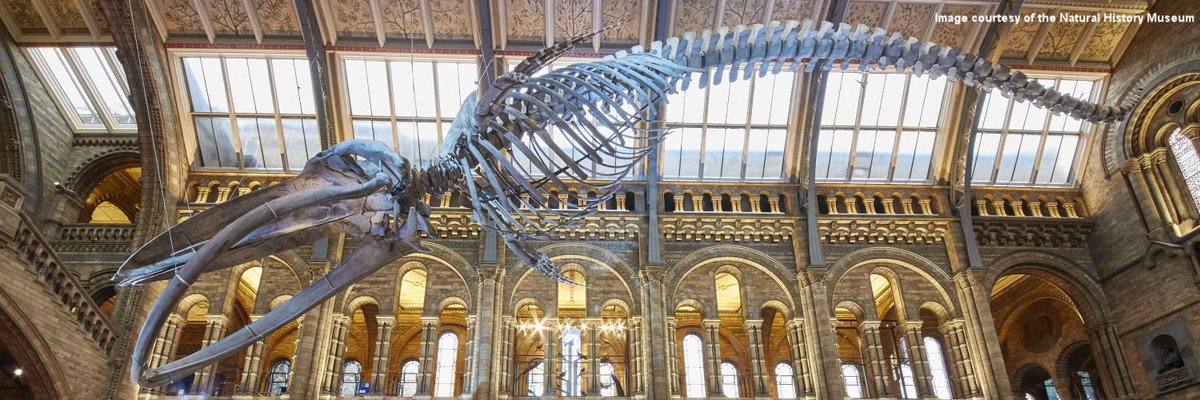 🌱 ■ Natural History GCSE ■ 🌱

Exam board <a href="/ocrexams/">Brand Changed</a> have opened a consultation on a potential Natural History GCSE. A knock out opportunity to introduce more students to the joys of the natural world. 

Pls input your views and RT so others can too!

teach.ocr.org.uk/naturalhistory