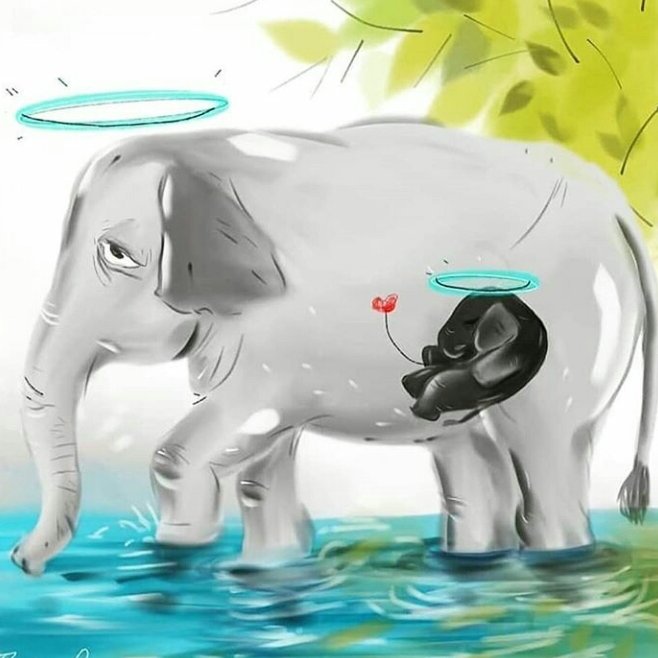 oggi hanno ucciso un'elefante incinta. le hanno offerto un'ananas piena di petardi. hanno ucciso un'animale innocente. talmente innocente che non ha ferito nessuno quand'è impazzita dal dolore. ma è andata sul fiume a morire da sola. ho pianto tantissimo. TUTTE LE VITE IMPORTANO.