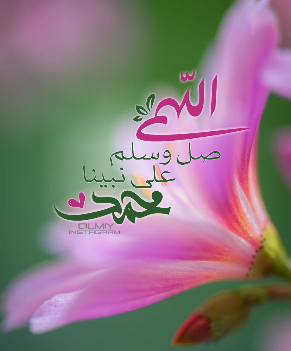 قلمي لخدمة ديني 🌸~ tweet media