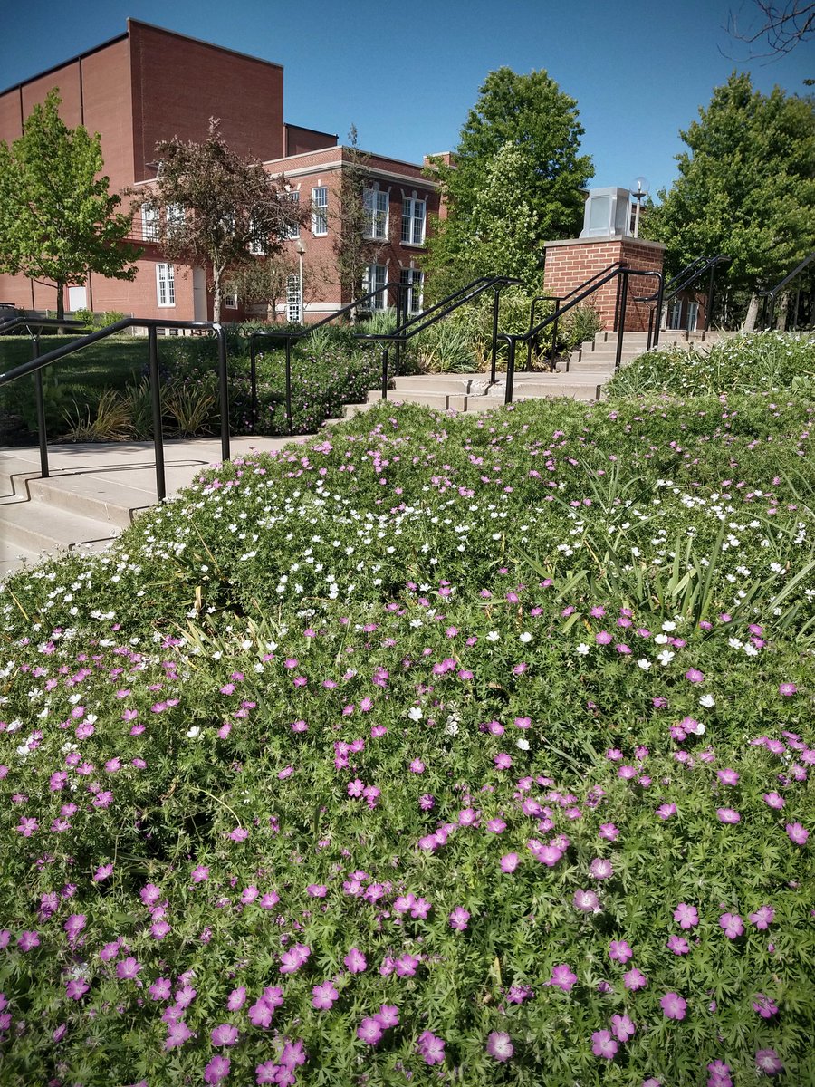 Truman Photos (@trumanphotos) on Twitter photo 