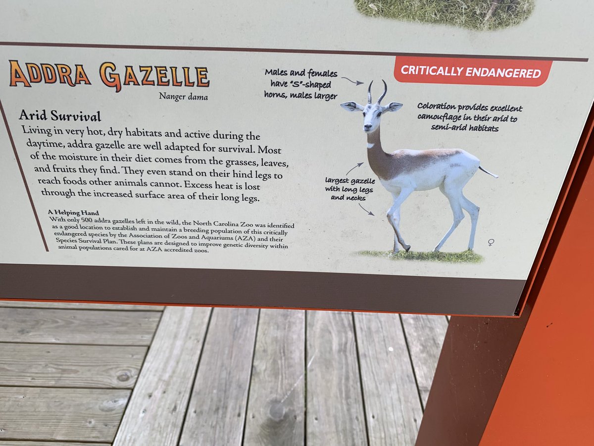 F3CousinIT's tweet photo. Come learns about the @GazelleF3 tomorrow @F3ENC #BlastOff! Heโs an #og #bootcamper! https://t.co/wh5BBcZ5ZA
