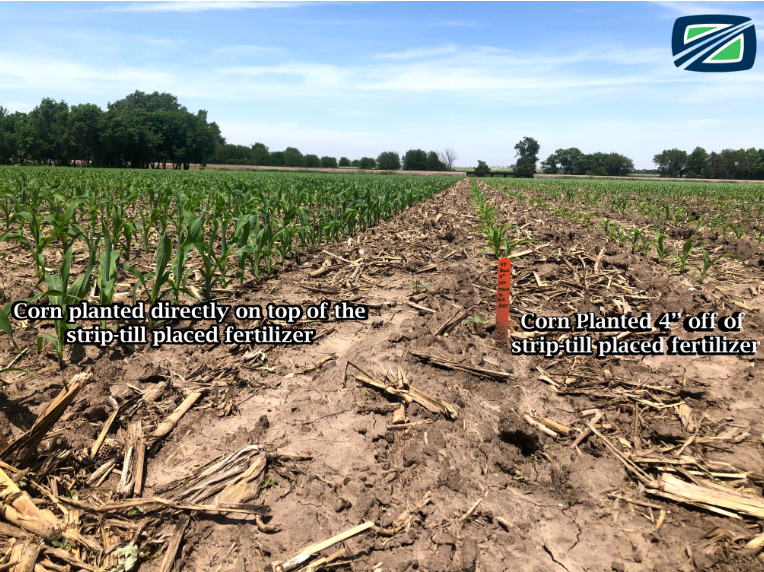 Orthman Manufacturing on X: These pictures show how crops planted 4'' &  8'' away from the strip-till placed fertilizer sets crops back. Rely on  Orthman's implement guidance for your planter to ensure