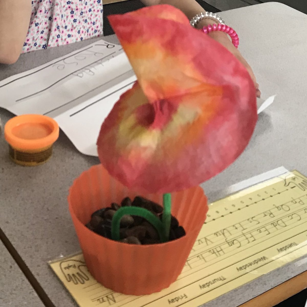 Kinders never seize to amaze me! I was not the one to have the idea to “plant” these coffee filter flowers in our math manipulatives, it was all them! We gave our flowers water and watched the colours change and came up with some clever words together! #kinderrules #edutwitter