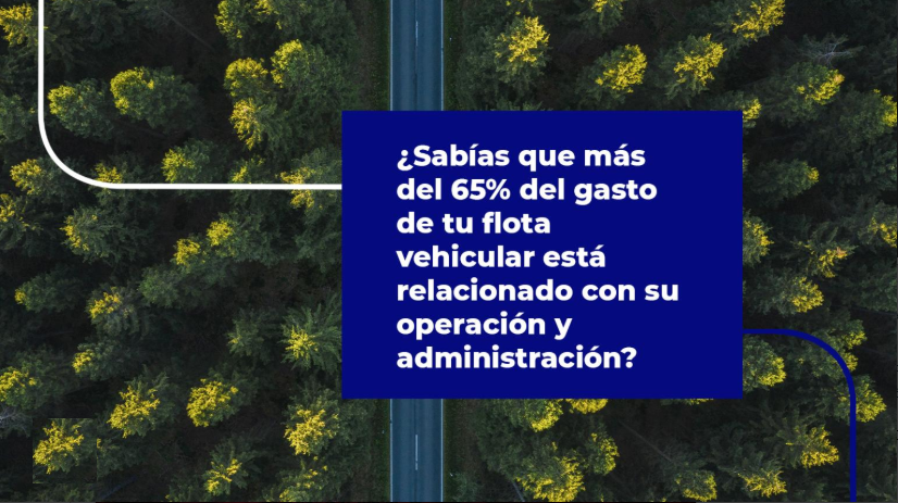 AutoCorpArg's tweet photo. Deja tu #flota en manos de un experto y obtén #ahorros. #Autocorp #Aldautomotive es especialista en #adminstraciondeflotas y #renting, nosotros nos encargamos de tus #vehiculos y vos de tu negocio.
#movilidadcomounservicio #gestiondeflotas #movilidadsostenible #maas #argentina https://t.co/VBkYWMnY99