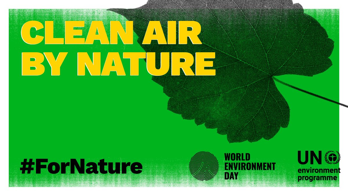 United Nations tweet media