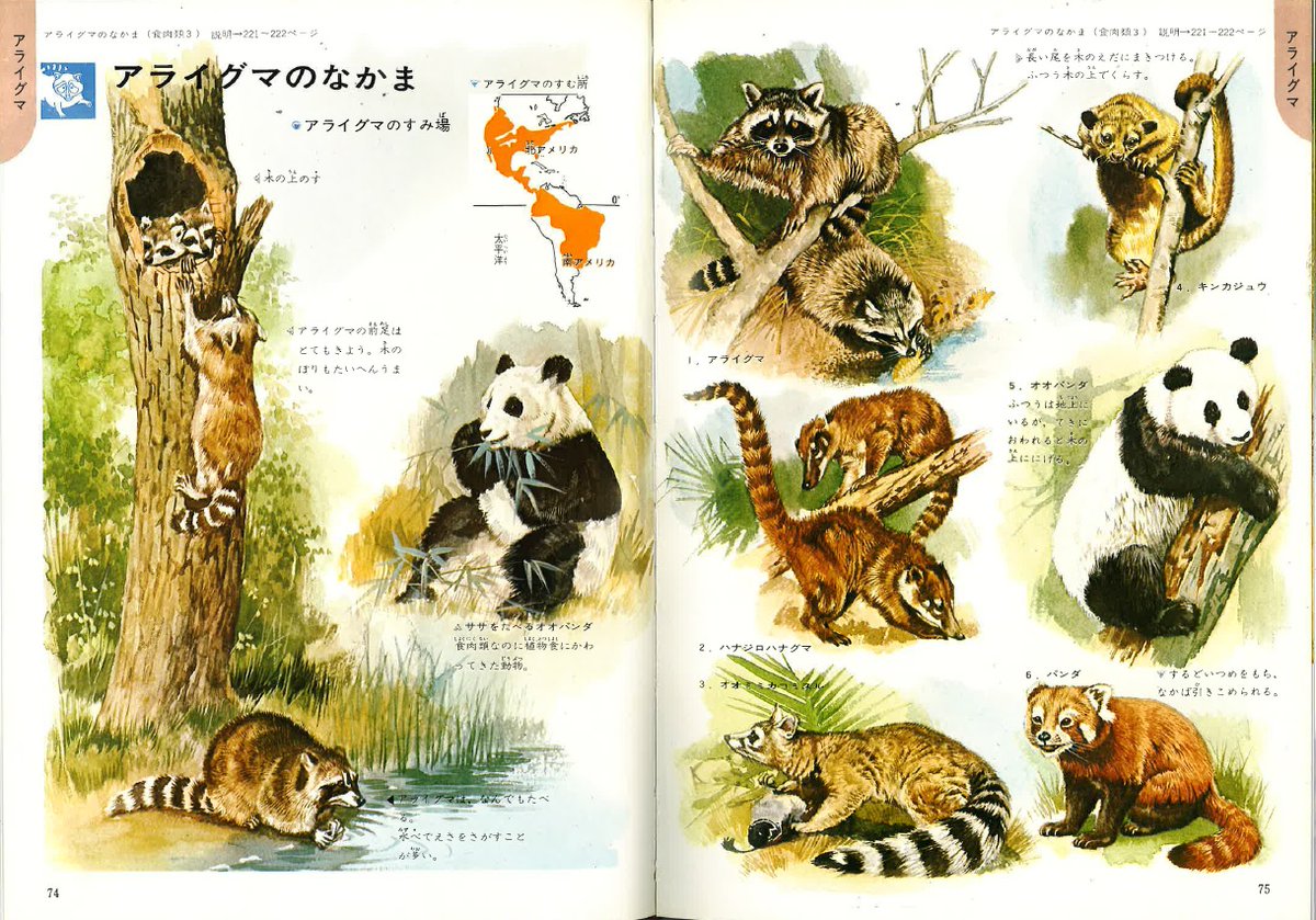 チェコの古い動物図鑑(1970年)/哺乳類図鑑 雰囲気◎/ チェコの古い動物図鑑(1970年)/哺乳類図鑑 雰囲気◎/ チェコの古い動物