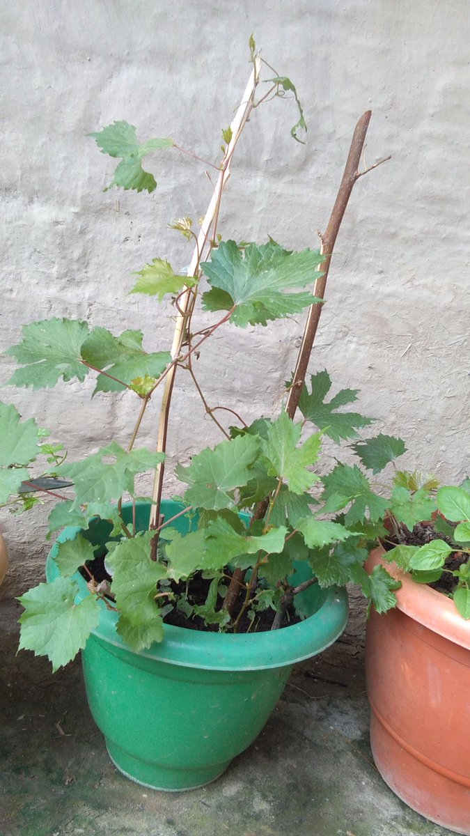 Sandeep13829876's tweet photo. https://t.co/lj5K2EoJff