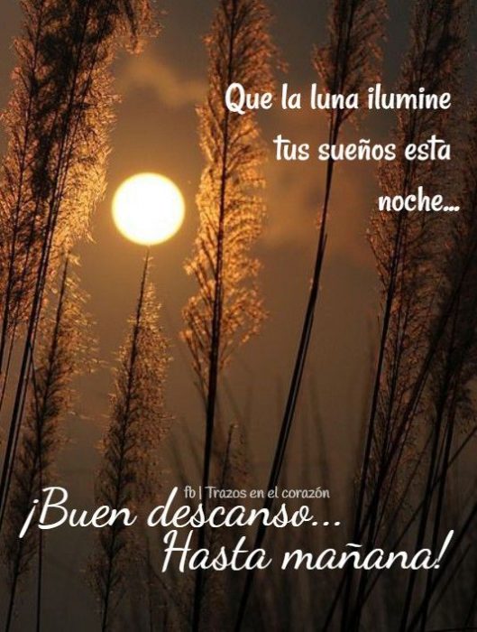 Ana Bordon on Twitter: Ana Bordon on Twitter:
