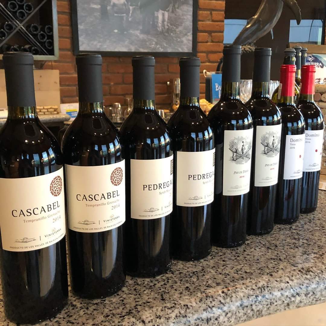 Extrañando recibirlos en la sala de degustación🍷Pronto nos volveremos a ver, para brindar y tomar una copa de vino, por lo pronto toca quedarse en casa y cuidarnos! 🏠
vinisterratienda.com #Vinisterra #VinoconPiesdeTierra #ValledeGuadalupe #TomaVinoMexicano  #quedateencasa