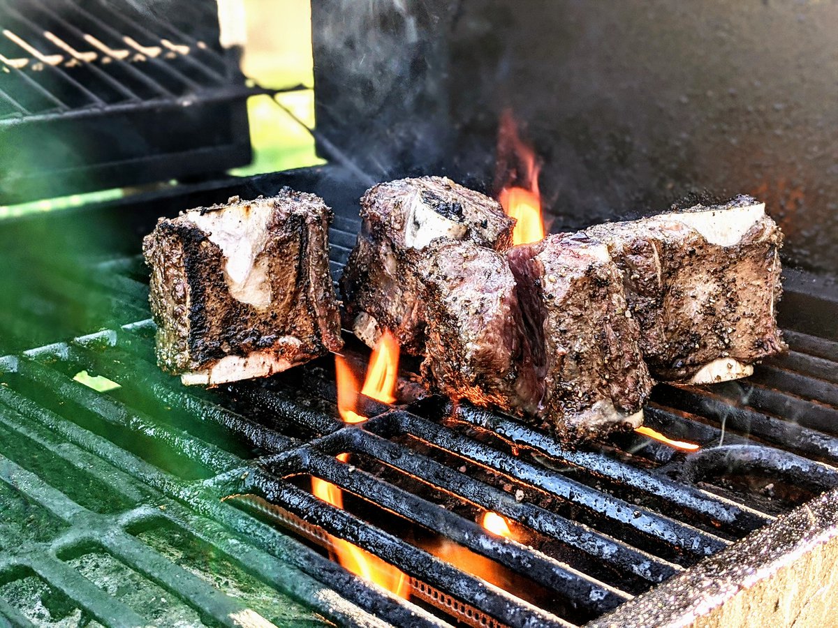 BigFamGamer's tweet photo. Tonight's dinner is Beef Short Ribs on the bone  🔥 fire grilled

#carnivore #beef #dinnertime #dinner #Grilling #ketodiet #keto #allmeat #zerocarb #carnivorediet #carnivoregamer #onlymeat https://t.co/XtRiLDCgby