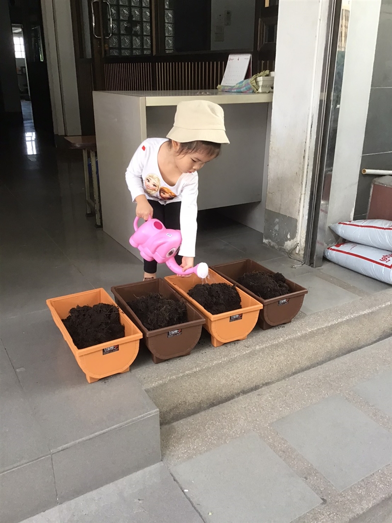 SHBriverside's tweet photo. Early Years 1 have been busy in the garden. Whether it is watering the plants, making a scarecrow, germinating seeds or potting different foliage - they have it covered.

These guys definitely have green thumbs!

#SHBDistanceLearning https://t.co/LBH8A3ysph