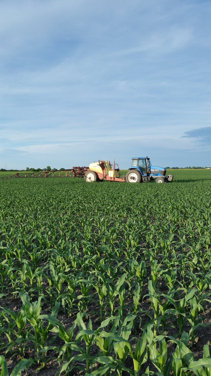 probstjake5's tweet image. 